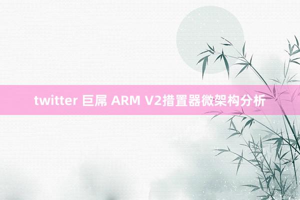 twitter 巨屌 ARM V2措置器微架构分析