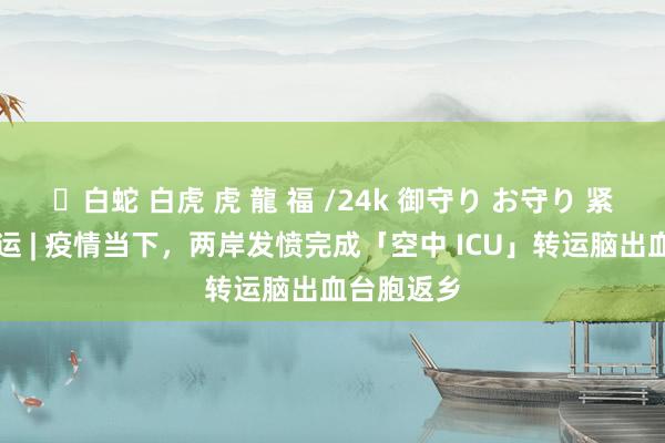 ✨白蛇 白虎 虎 龍 福 /24k 御守り お守り 紧要医疗转运 | 疫情当下，两岸发愤完成「空中 ICU」转运脑出血台胞返乡