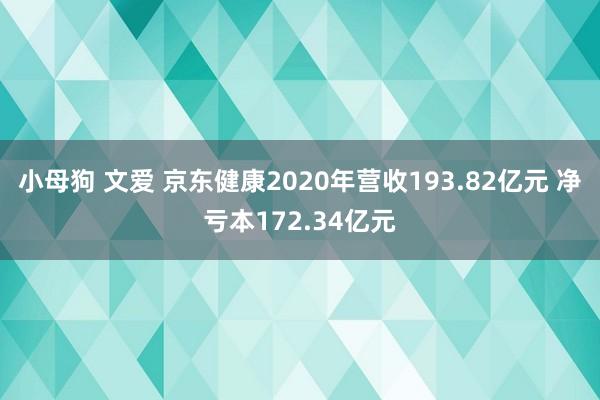 小母狗 文爱 京东健康2020年营收193.82亿元 净亏本172.34亿元