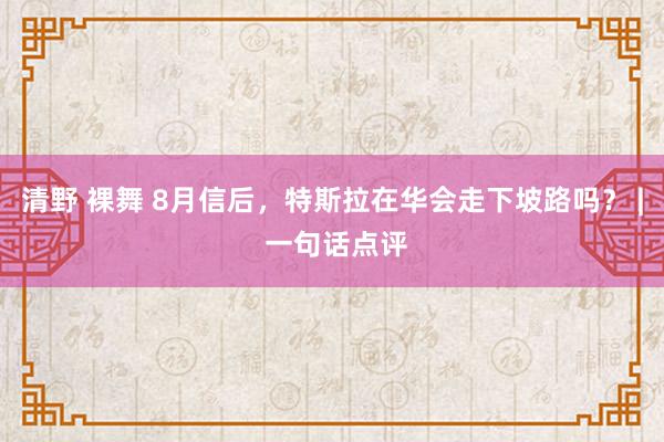 清野 裸舞 8月信后，特斯拉在华会走下坡路吗？ | 一句话点评