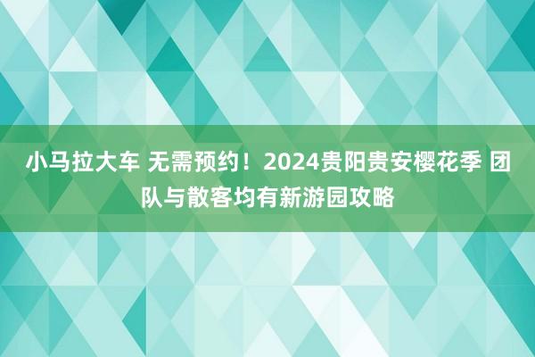 小马拉大车 无需预约！2024贵阳贵安樱花季 团队与散客均有新游园攻略