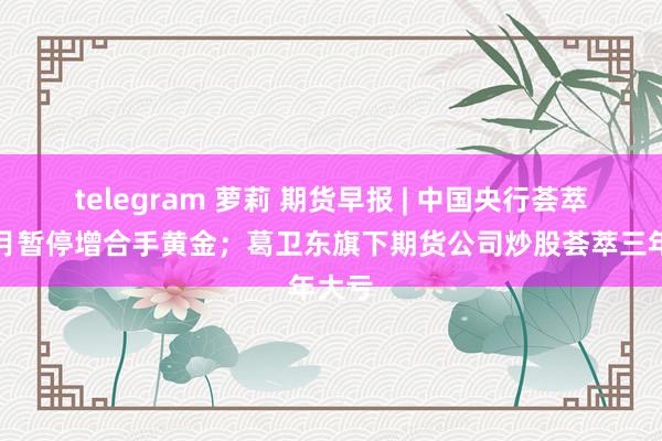 telegram 萝莉 期货早报 | 中国央行荟萃四个月暂停增合手黄金；葛卫东旗下期货公司炒股荟萃三年大亏