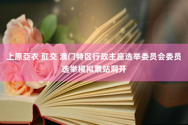 上原亞衣 肛交 澳门特区行政主座选举委员会委员选举模拟票站洞开