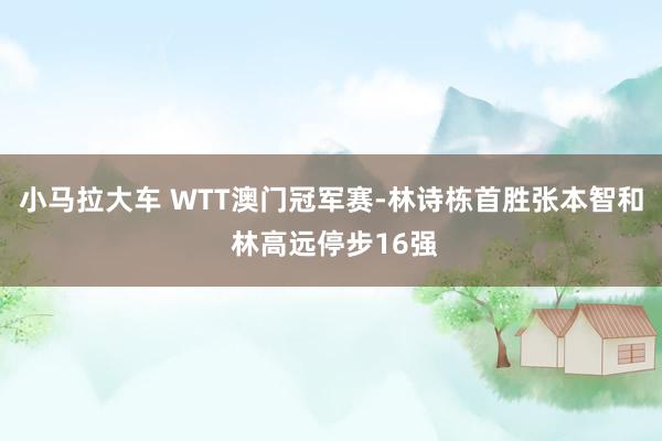 小马拉大车 WTT澳门冠军赛-林诗栋首胜张本智和 林高远停步16强