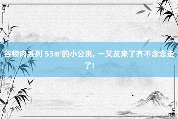 谷物肉系列 53㎡的小公寓， 一又友来了齐不念念走了!