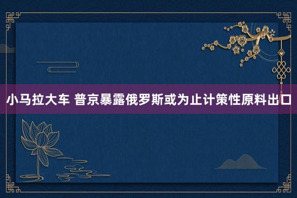 小马拉大车 普京暴露俄罗斯或为止计策性原料出口