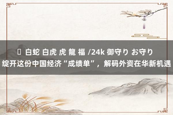 ✨白蛇 白虎 虎 龍 福 /24k 御守り お守り 绽开这份中国经济“成绩单”，解码外资在华新机遇