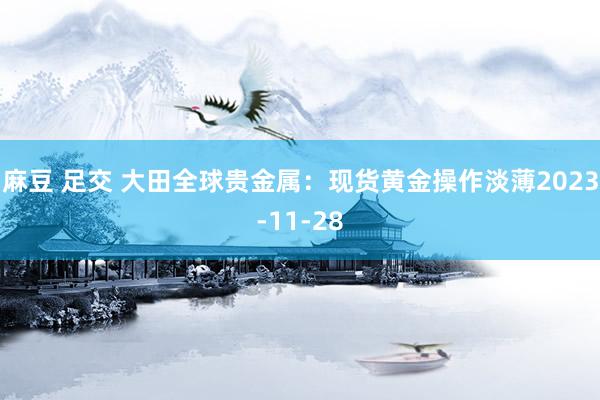 麻豆 足交 大田全球贵金属：现货黄金操作淡薄2023-11-28