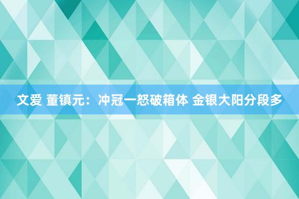 文爱 董镇元：冲冠一怒破箱体 金银大阳分段多