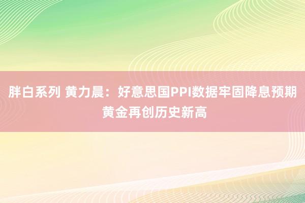 胖白系列 黄力晨：好意思国PPI数据牢固降息预期 黄金再创历史新高