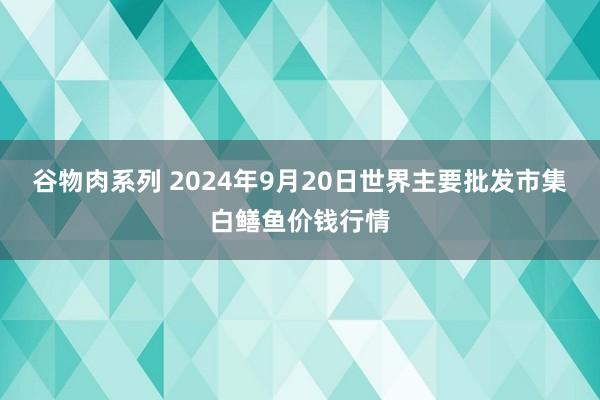 谷物肉系列 2024年9月20日世界主要批发市集白鳝鱼价钱行情