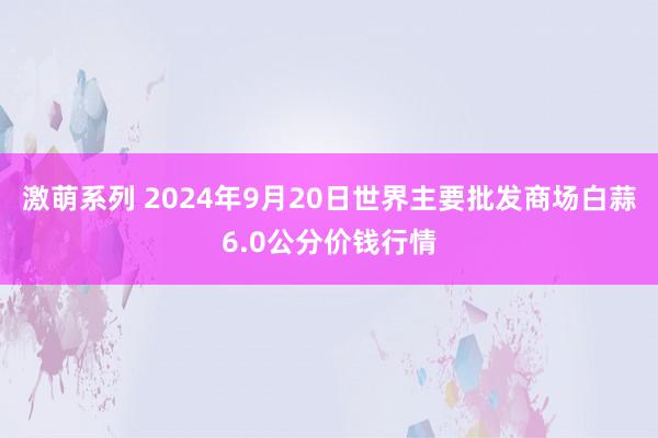 激萌系列 2024年9月20日世界主要批发商场白蒜6.0公分价钱行情