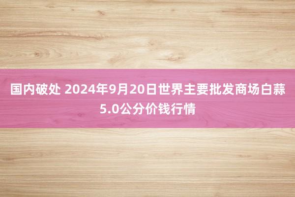 国内破处 2024年9月20日世界主要批发商场白蒜5.0公分价钱行情