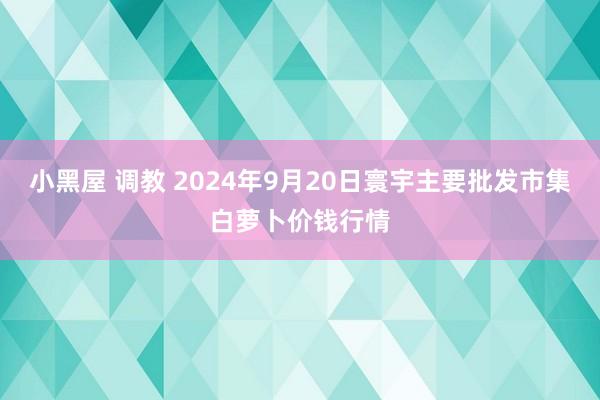 小黑屋 调教 2024年9月20日寰宇主要批发市集白萝卜价钱行情