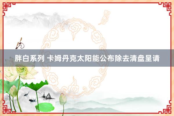 胖白系列 卡姆丹克太阳能公布除去清盘呈请