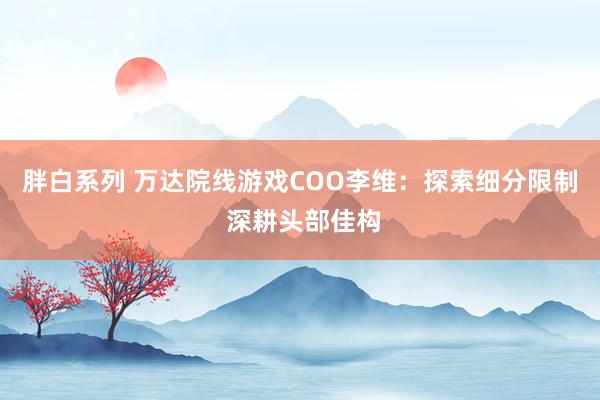 胖白系列 万达院线游戏COO李维：探索细分限制 深耕头部佳构