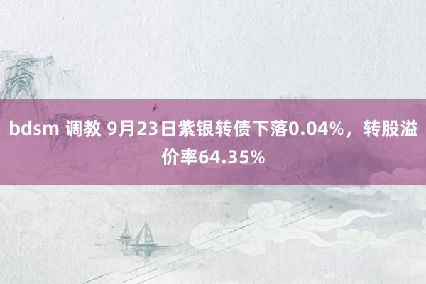 bdsm 调教 9月23日紫银转债下落0.04%，转股溢价率64.35%