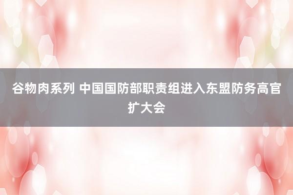 谷物肉系列 中国国防部职责组进入东盟防务高官扩大会