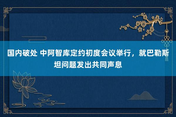 国内破处 中阿智库定约初度会议举行，就巴勒斯坦问题发出共同声息