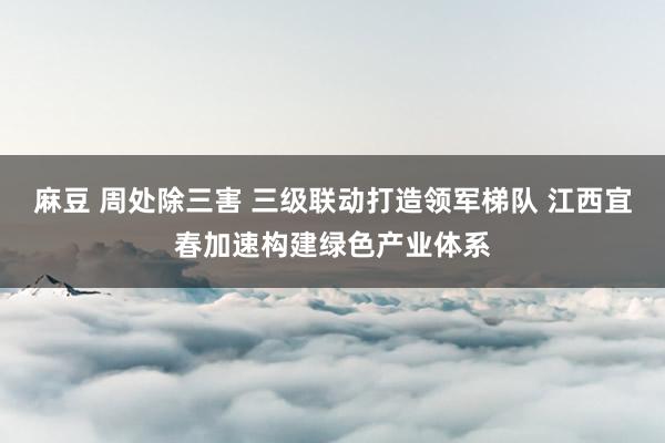 麻豆 周处除三害 三级联动打造领军梯队 江西宜春加速构建绿色产业体系