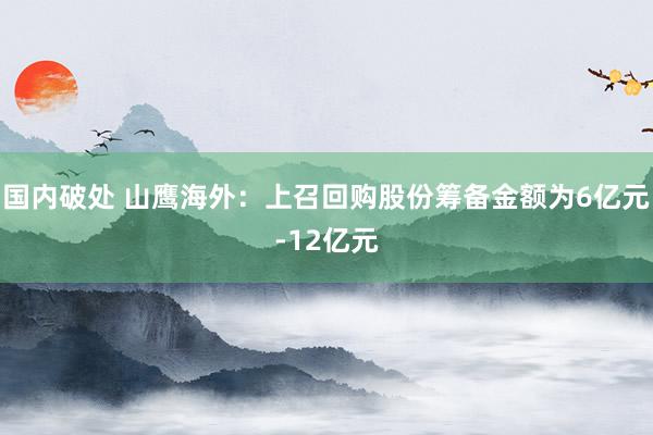 国内破处 山鹰海外：上召回购股份筹备金额为6亿元-12亿元