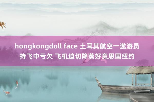 hongkongdoll face 土耳其航空一遨游员持飞中亏欠 飞机迫切降落好意思国纽约