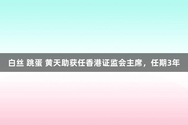 白丝 跳蛋 黄天助获任香港证监会主席，任期3年