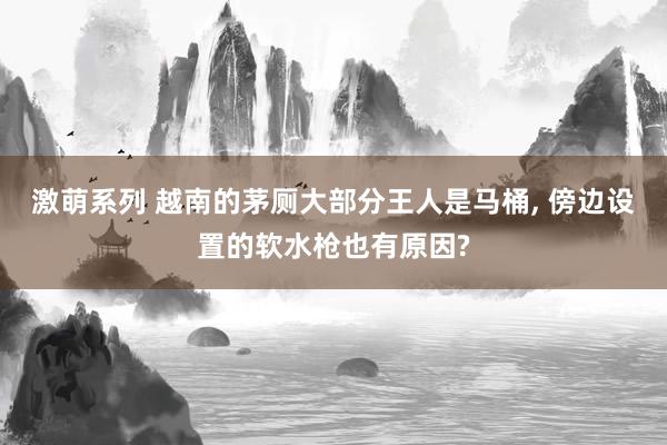 激萌系列 越南的茅厕大部分王人是马桶， 傍边设置的软水枪也有原因?