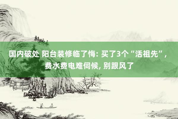 国内破处 阳台装修临了悔: 买了3个“活祖先”， 费水费电难伺候， 别跟风了