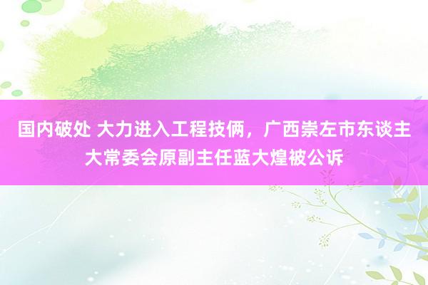 国内破处 大力进入工程技俩，广西崇左市东谈主大常委会原副主任蓝大煌被公诉