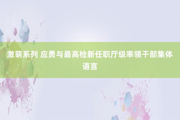 激萌系列 应勇与最高检新任职厅级率领干部集体语言