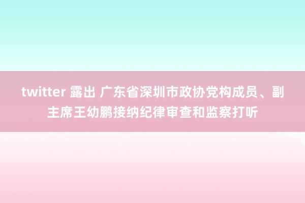 twitter 露出 广东省深圳市政协党构成员、副主席王幼鹏接纳纪律审查和监察打听