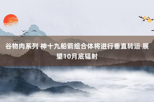 谷物肉系列 神十九船箭组合体将进行垂直转运 展望10月底辐射