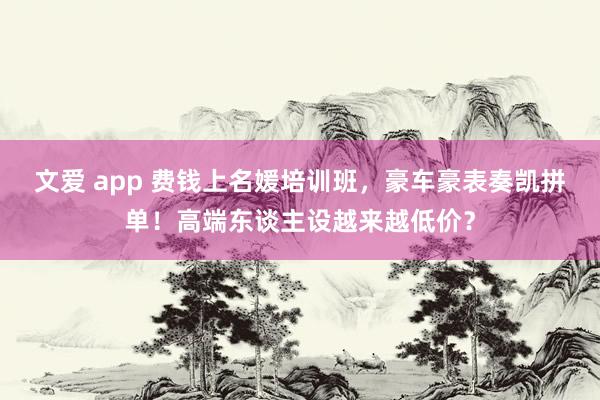 文爱 app 费钱上名媛培训班，豪车豪表奏凯拼单！高端东谈主设越来越低价？