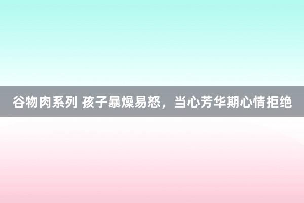 谷物肉系列 孩子暴燥易怒，当心芳华期心情拒绝