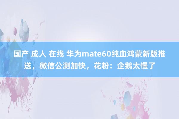 国产 成人 在线 华为mate60纯血鸿蒙新版推送，微信公测加快，花粉：企鹅太慢了