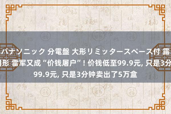 パナソニック 分電盤 大形リミッタースペース付 露出・半埋込両用形 雷军又成“价钱屠户”! 价钱低至99.9元， 只是3分钟卖出了5万盒