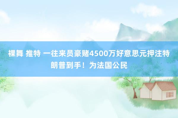 裸舞 推特 一往来员豪赌4500万好意思元押注特朗普到手！为法国公民