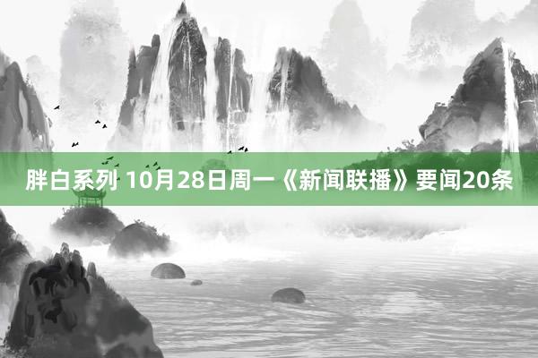 胖白系列 10月28日周一《新闻联播》要闻20条