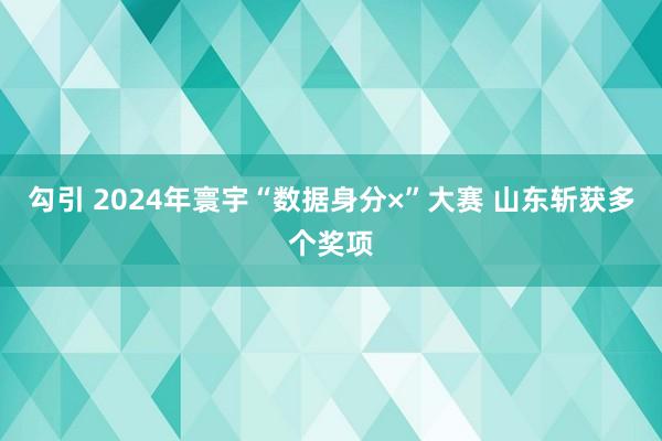 勾引 2024年寰宇“数据身分×”大赛 山东斩获多个奖项