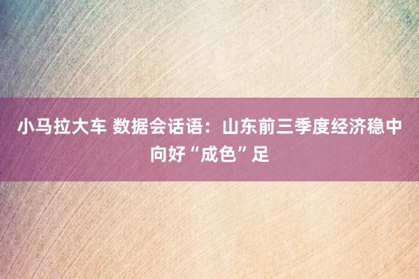 小马拉大车 数据会话语：山东前三季度经济稳中向好“成色”足