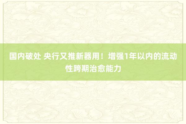 国内破处 央行又推新器用！增强1年以内的流动性跨期治愈能力