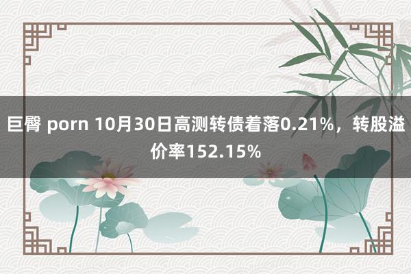 巨臀 porn 10月30日高测转债着落0.21%，转股溢价率152.15%