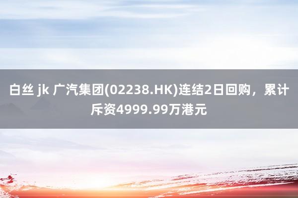 白丝 jk 广汽集团(02238.HK)连结2日回购，累计斥资4999.99万港元