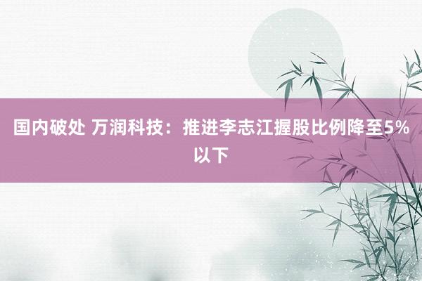 国内破处 万润科技：推进李志江握股比例降至5%以下