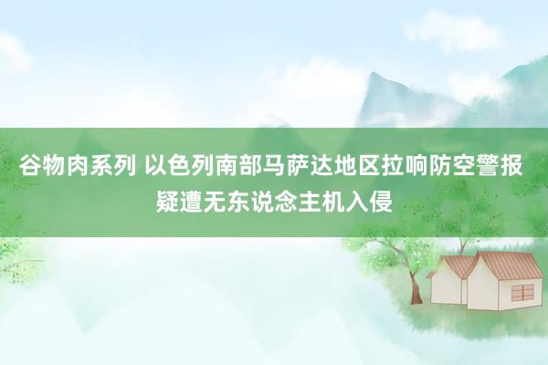 谷物肉系列 以色列南部马萨达地区拉响防空警报 疑遭无东说念主机入侵