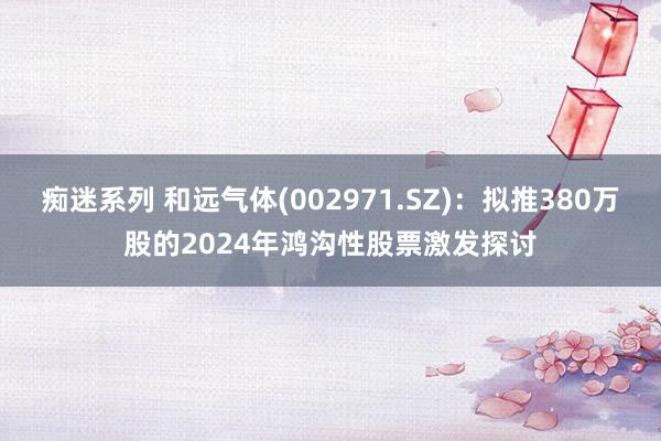 痴迷系列 和远气体(002971.SZ)：拟推380万股的2024年鸿沟性股票激发探讨