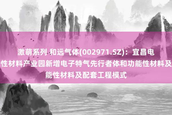 激萌系列 和远气体(002971.SZ)：宜昌电子特气及功能性材料产业园新增电子特气先行者体和功能性材料及配套工程模式