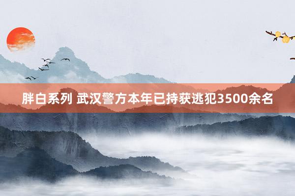 胖白系列 武汉警方本年已持获逃犯3500余名