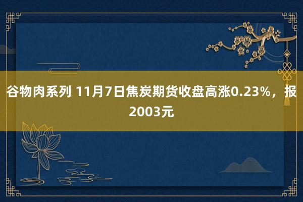 谷物肉系列 11月7日焦炭期货收盘高涨0.23%，报2003元